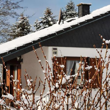 Bb19 Eifel-Ferienhaus Am Moseltal Mit Saunahaus Beuren  Kültér fotó