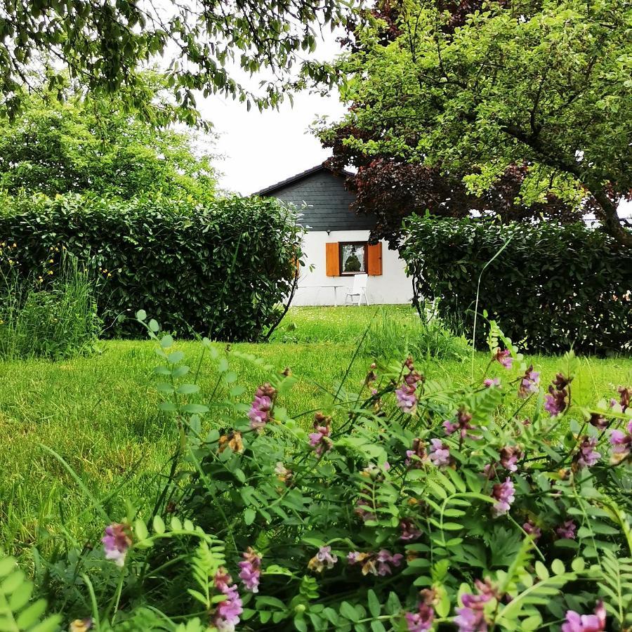 Bb19 Eifel-Ferienhaus Am Moseltal Mit Saunahaus Beuren  Kültér fotó