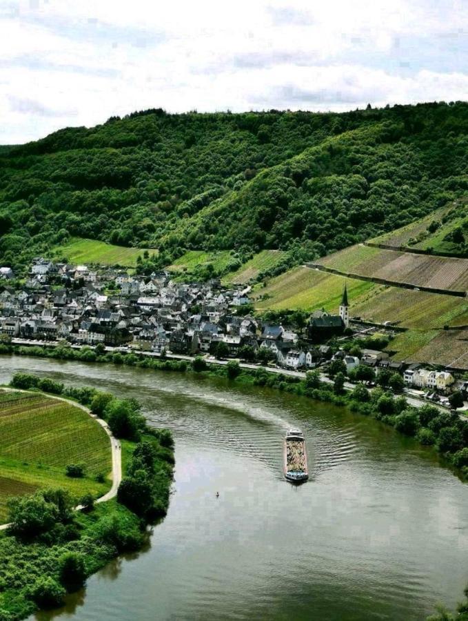 Bb19 Eifel-Ferienhaus Am Moseltal Mit Saunahaus Beuren  Kültér fotó