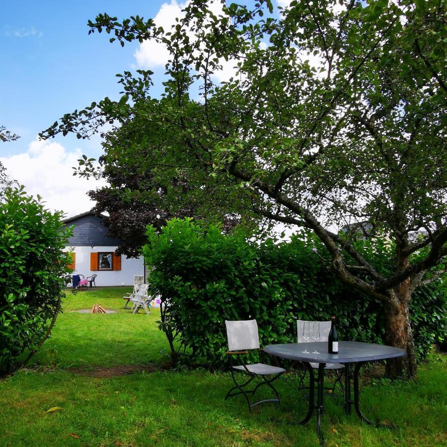 Bb19 Eifel-Ferienhaus Am Moseltal Mit Saunahaus Beuren  Kültér fotó