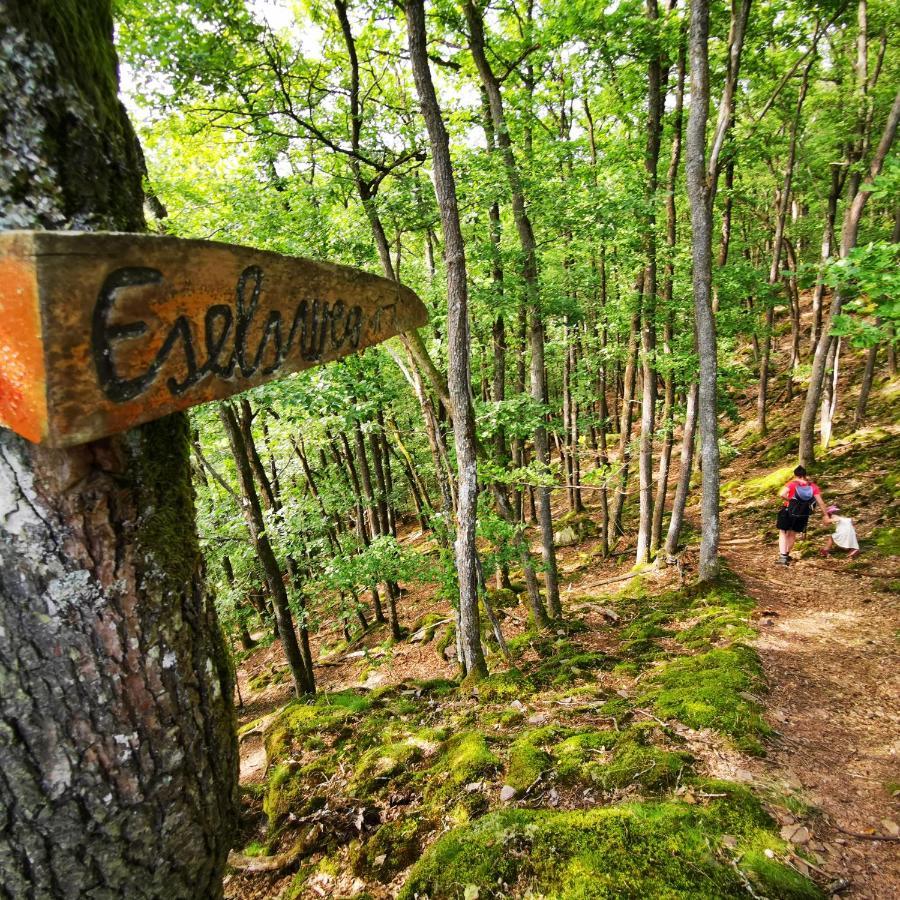Bb19 Eifel-Ferienhaus Am Moseltal Mit Saunahaus Beuren  Kültér fotó